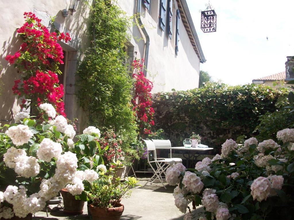 Chambres D'Hotes Aroha Sorde-lʼAbbaye Eksteriør billede